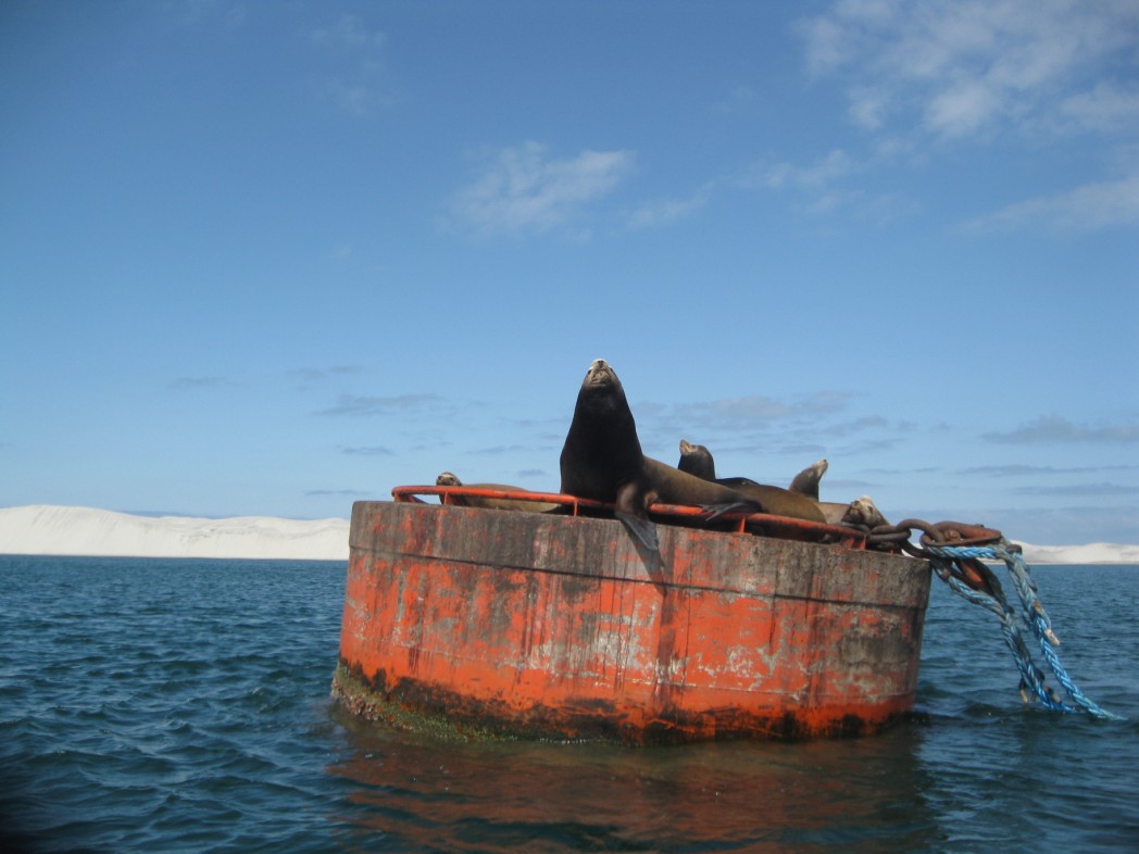 slideshow image